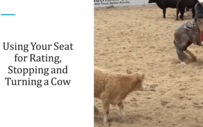 Using Your Seat for Rating, Stopping, and Turning